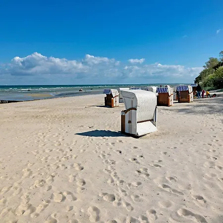 Gollwitzer Park Musselkieker *