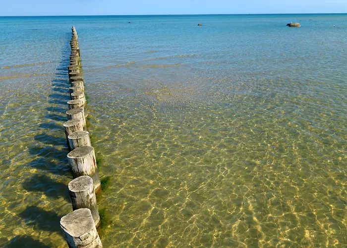 Gollwitzer Park Musselkieker شقة *